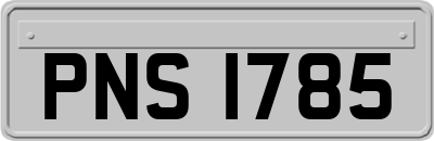 PNS1785