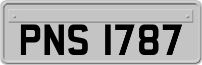 PNS1787