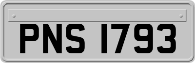 PNS1793