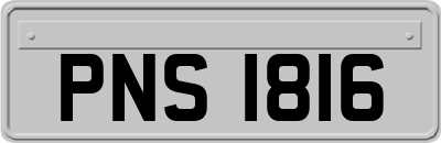 PNS1816