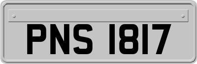 PNS1817