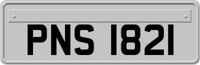 PNS1821