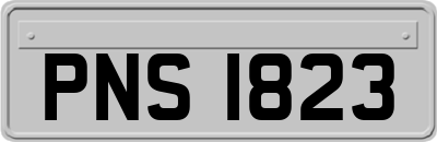 PNS1823