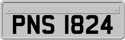 PNS1824