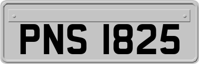 PNS1825
