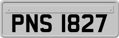 PNS1827