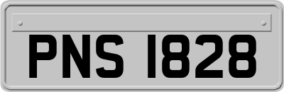PNS1828
