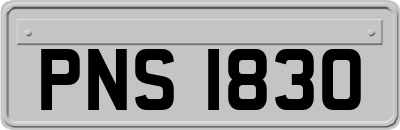 PNS1830