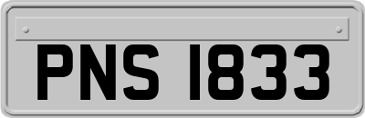 PNS1833