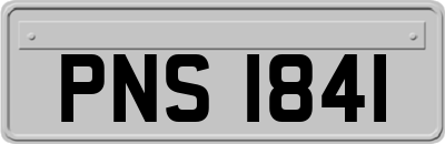 PNS1841