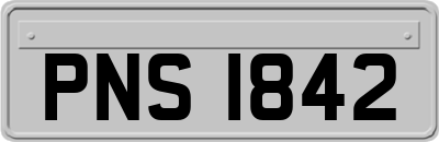 PNS1842