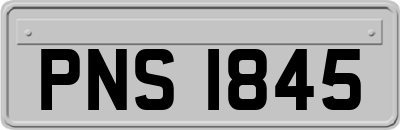 PNS1845