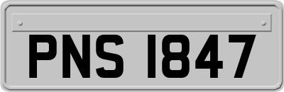 PNS1847