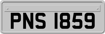 PNS1859