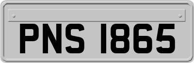 PNS1865