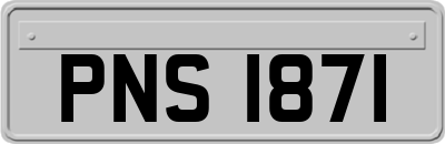 PNS1871