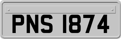 PNS1874