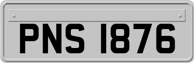 PNS1876