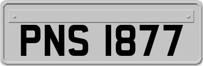 PNS1877