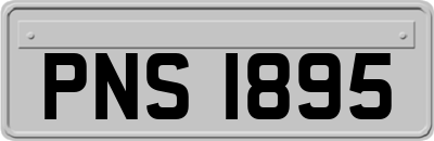 PNS1895