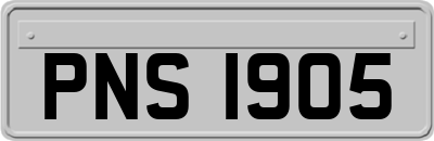 PNS1905