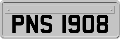 PNS1908