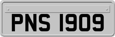 PNS1909