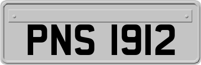 PNS1912