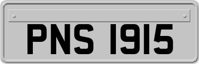 PNS1915