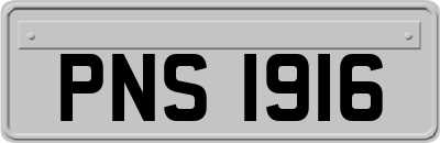 PNS1916