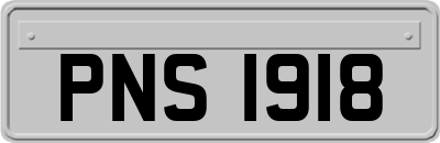 PNS1918