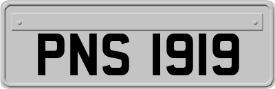 PNS1919