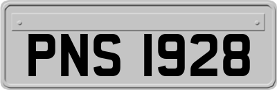 PNS1928