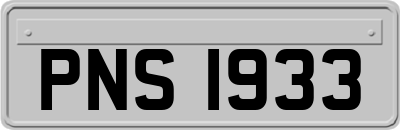 PNS1933