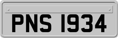 PNS1934