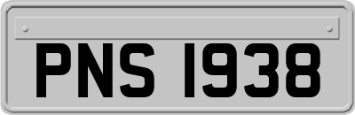 PNS1938