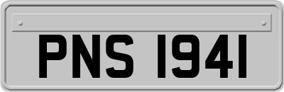 PNS1941