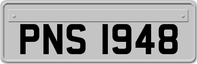 PNS1948