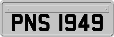 PNS1949