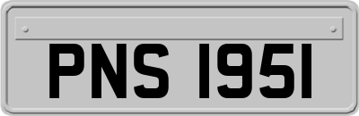 PNS1951