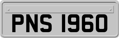 PNS1960