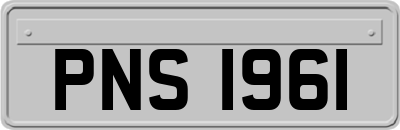 PNS1961
