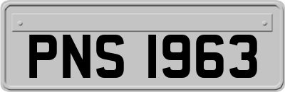 PNS1963
