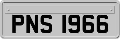 PNS1966