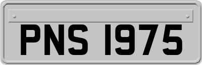 PNS1975