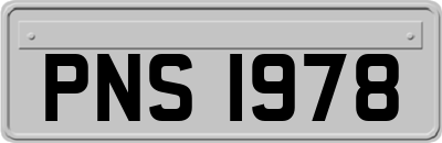 PNS1978