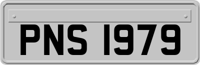 PNS1979