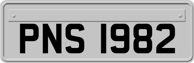 PNS1982