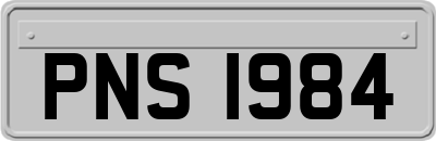 PNS1984