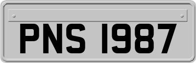 PNS1987